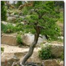 산청농장 이미지