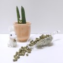 건강우 가축인공수정소 | 토끼먹이, 주식 건초 토끼사료