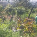 김남순농장 이미지