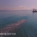 여수해양경찰서광양파출소 | 광양 연안에 길이 15ｍ 대형 향유고래 등장