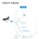 오리와사람들 이미지