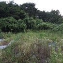 남가네 농장 이미지