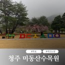 수목원 | 청주 미동산수목원 후기｜주차부터 산책코스까지, 비오는날 더 좋은 무료 명소