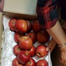 쏠비알 Daum카페