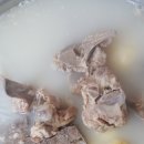 우리집감자탕 Daum카페