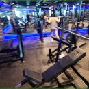 최신헬스클럽 이미지