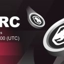 레이스 게임 이미지