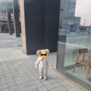 스타벅스배곧아브뉴프랑점 이미지