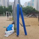 서강초교 이미지