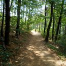 궐동제1어린이공원 이미지