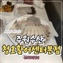황금오징어 활어회센터2 | 속초여행 회포장맛집 청호활어회센터맛집 주원수산