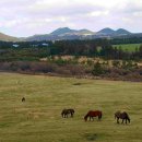 풍진목장 이미지