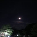 별빛고운펜션