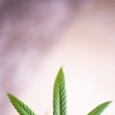 래미안안양 메가트리아 이미지