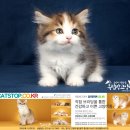 원주브리딩 이미지