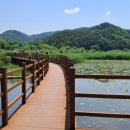 정양늪생태공원 이미지