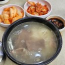 영동설렁탕 | 판교 설렁탕 맛집, 깍두기 국물로 완성하는 깊은 한 그릇 영동설렁탕 후기
