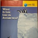 12 What Is Life Like In Antarctica? 이미지