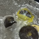 아롬네일 | 두바이디저트 택배 맛집 아롬베이크