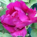 송광보건지소 이미지