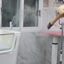 프린세스 캣 이미지