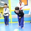 예바른 태권도장 이미지