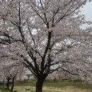 별내체육공원 이미지