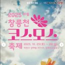 코스모스페이스