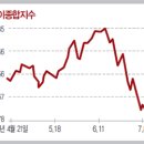 선강인터내셔날 이미지
