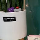 견생스타일 이미지