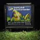 보태니컬 아트 | [오사카] 팀랩 보태니컬 가든 야외 전시회, 미디어아트 후기