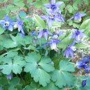 춘자민박 이미지