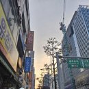 순안 | [을지로3가술집] 을지로타코 맛집 '더타코부스 X 잭다니엘 을지로점' 후기