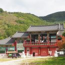 시왕도초본과 사자도 초본10점 이미지