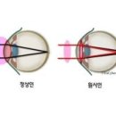 원시로4 이미지