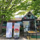 솔향기약국 이미지