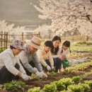 개나리농장 | 주말농장 처음 해봤습니다 솔직 후기 (장단점 총정리)
