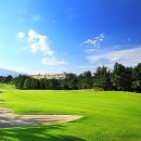 플라자C.C 이미지