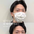 팽브로우 이미지