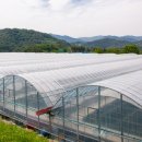 경북농약농자재할인마트 | 12/10 농민신문_농가경영비 부담 상승, 공공형 계절근로제 효과, 농지법 개정, 새벽배송 중단 우려