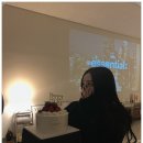 모하지스튜디오