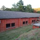 녹산초등학교 이미지