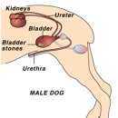 진현우동물병원 이미지