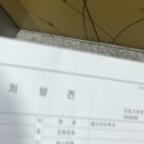 콩심 강제점 | 삼월 - 모든게 설레이는