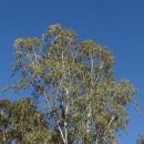 효소명가 이미지