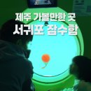 방기공원 화장실 | 제주 아이랑 가볼만한 곳 🌊 비싸도 만족했던 서귀포 잠수함 후기