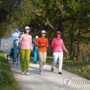 골프로 연합뉴스
