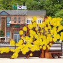 충남 당진 국화도/도지섬 무인도 /매박섬 무인도( 1) 이미지