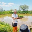 정돈농장2 이미지