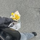 블루블룸분당야탑역사점